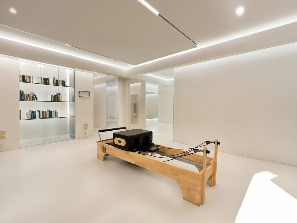 The reformer pilates reformer